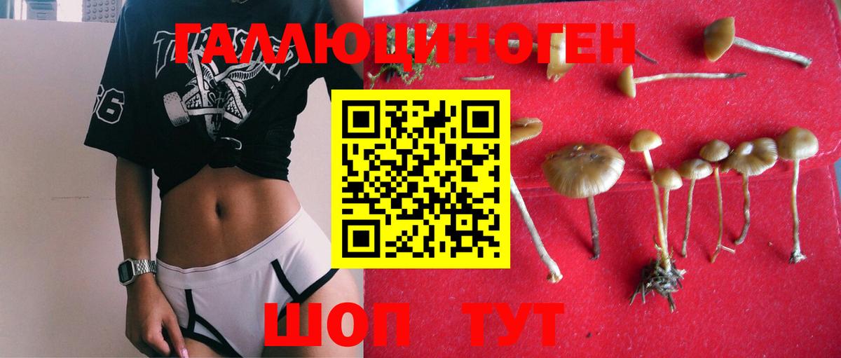 Семилуки  Псилоцибиновые грибы Psilocybine cubensis  купить   Вход с VPN 